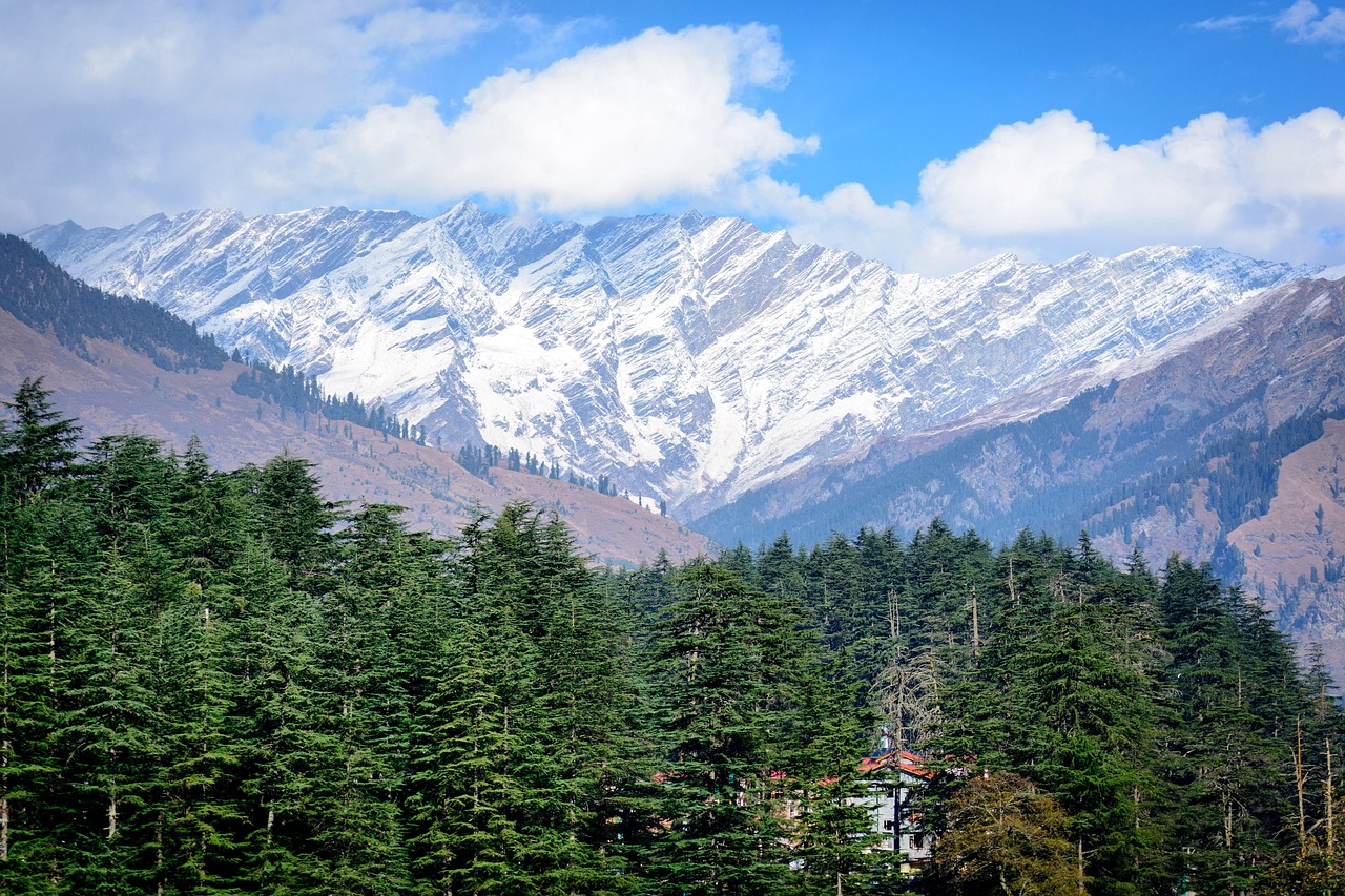 Shimla Manali Summer tour