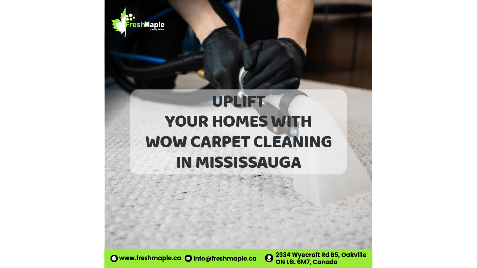 Rug Cleaning Services in Mississauga