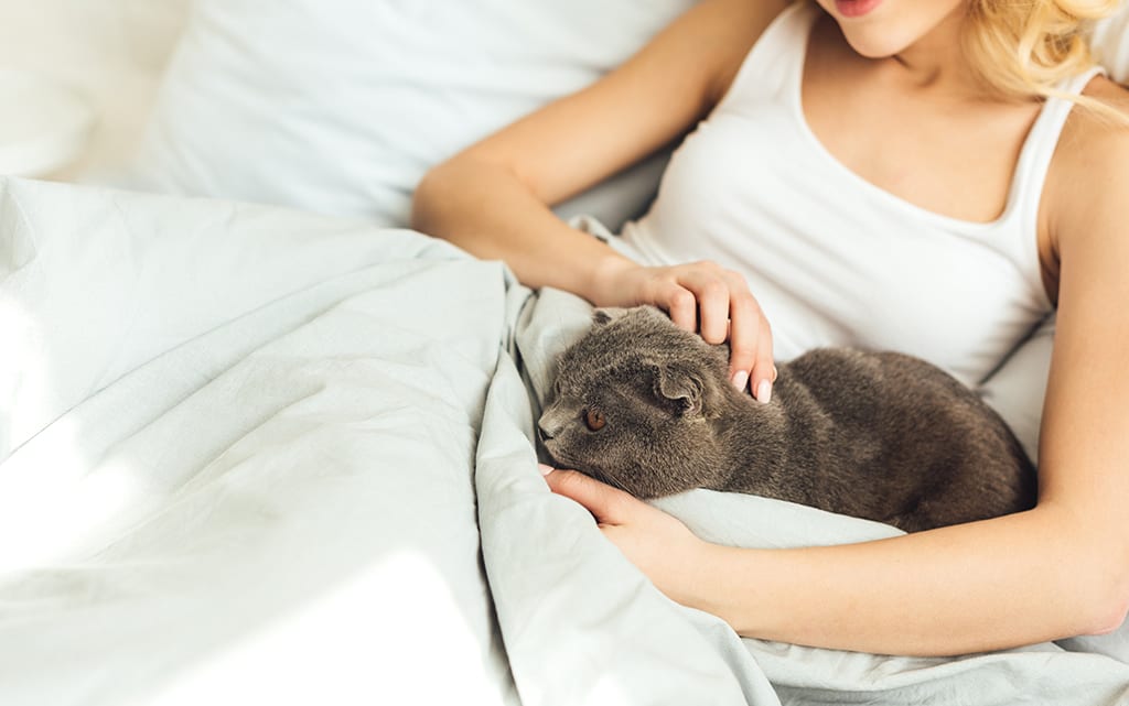 Cat Sitter in New York