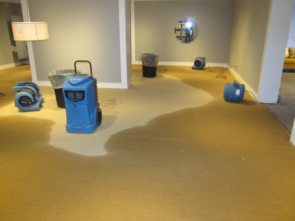 Water Cleanup Services Grayslake