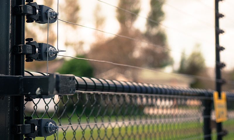 Are Electric Fences Safe? Key Safety Tips & Regulations