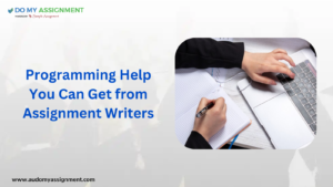 Programming Help You Can Get from Assignment Writers