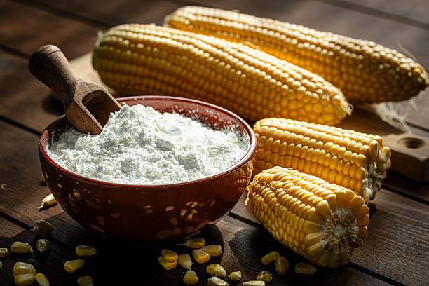 corn starch manufacturer