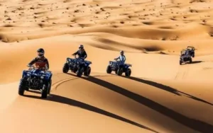 Desert Safari Experience in Dubai