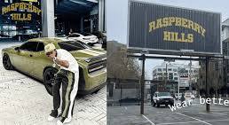 Raspberry Hills Hoodie: Comfort Meets Modern Style