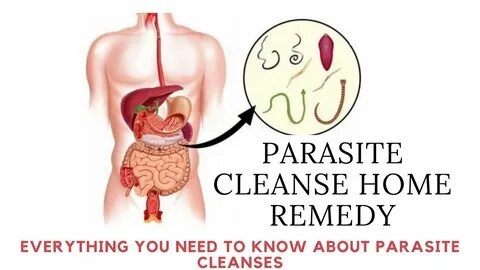 parasite cleanse
