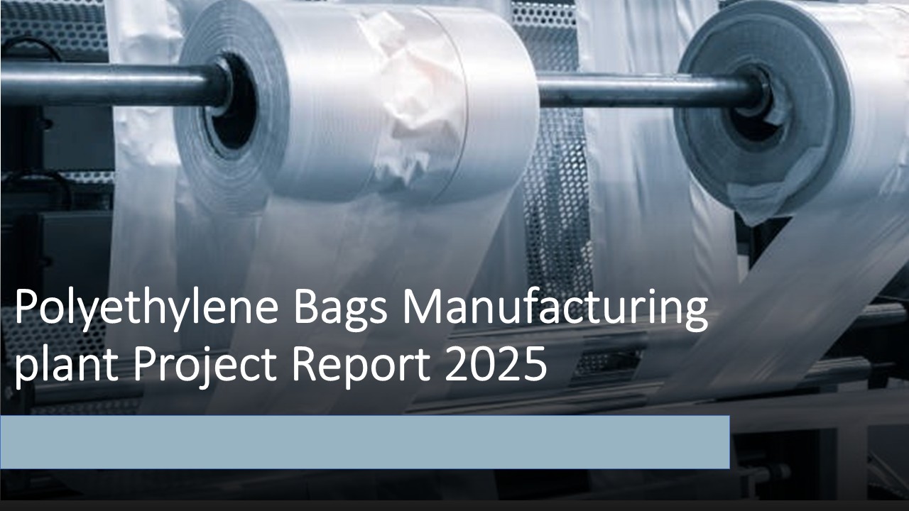 Polyethylene Bags Manufacturing Plant