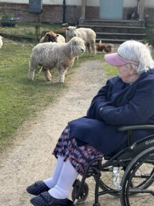 Comfort Care Services