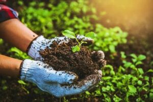 Organic Manure Manufacturing Plant