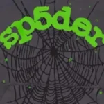 Why the Spider Hoodiellc Hoodie is a Must-Have Item