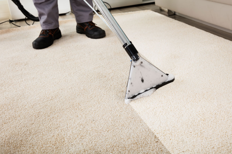 What Actually Happens During a Professional Carpet Steam Cleaning in Arlington