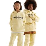 Fear Of God Essential Hoodie Online Store