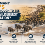Serengeti Wildebeest Safaris