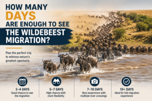 Serengeti Wildebeest Safaris