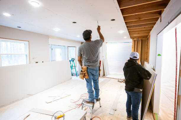 Expert Insights on Dry Wall Contractor Trends