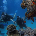 Diving in Thailand