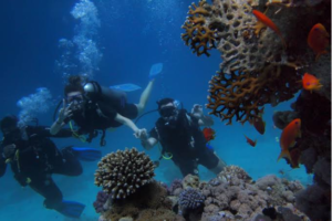 Diving in Thailand