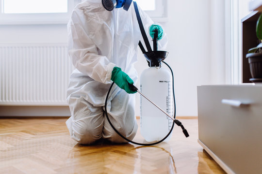 Discovery Pest Management