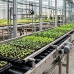 How Vertical Conveyors Move Crops Through A Stacked Indoor Farm
