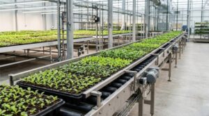 How Vertical Conveyors Move Crops Through A Stacked Indoor Farm