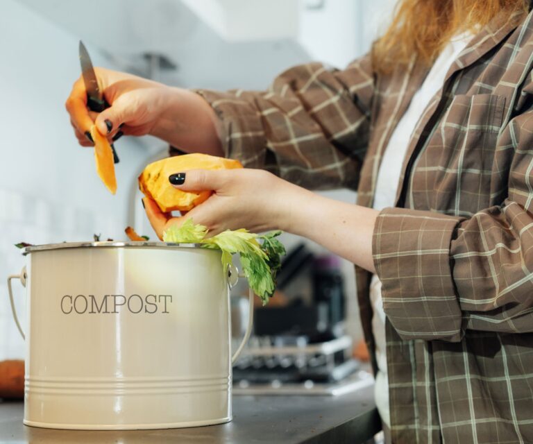 Where To Put An Indoor Composter In A Small Kitchen